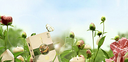 花蕾蜡烛背景素材
