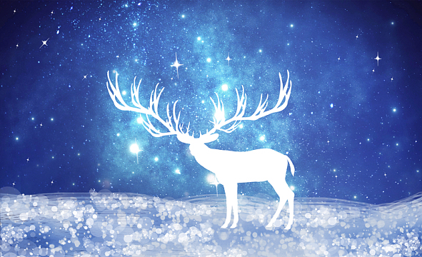 星空下的小鹿背景素材
