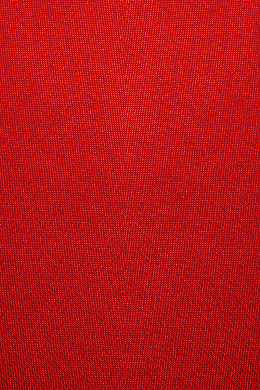 中国2019新年元旦圣诞红纹理背景