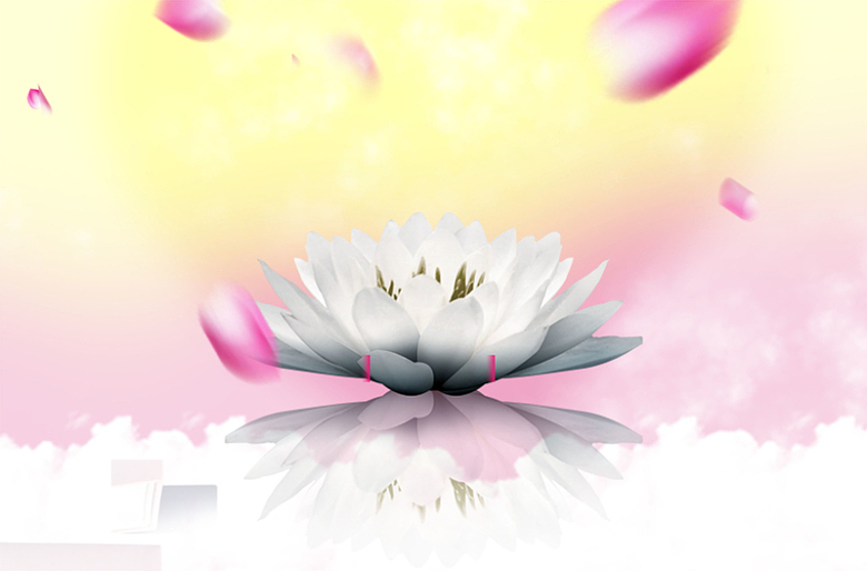 中国风美丽花瓣下的白莲花背景素材