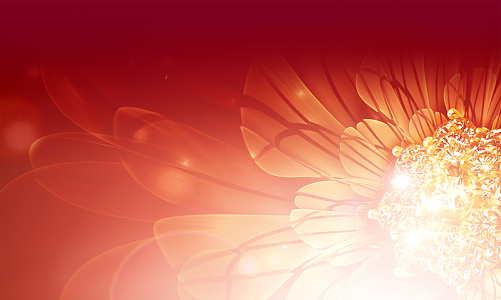 华丽金融主体海报