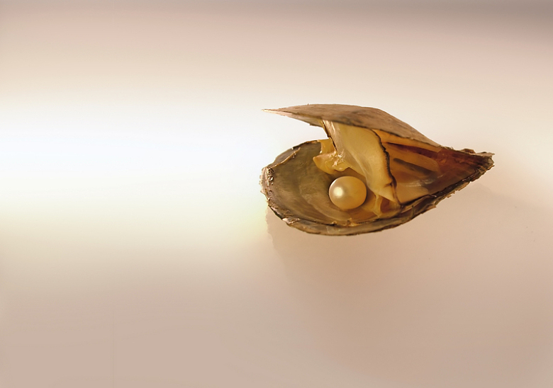 金色珍珠蚌背景素材