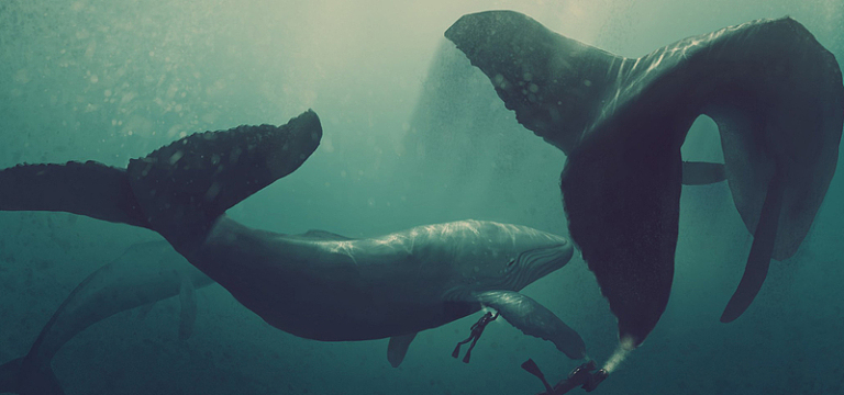 海洋生物