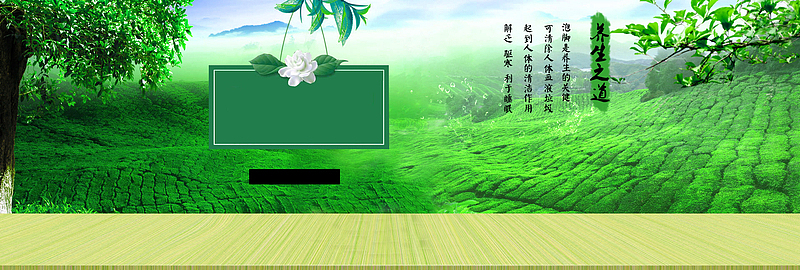 养生