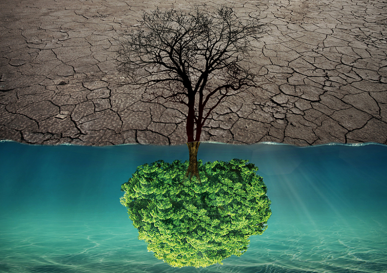 干枯地球植树节爱护水资源背景