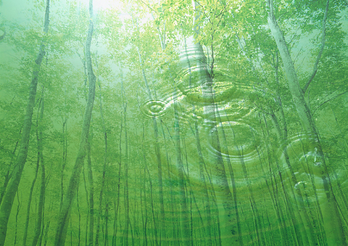 保护水资源森林可再生背景