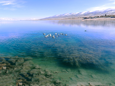 青海湖初冬景色