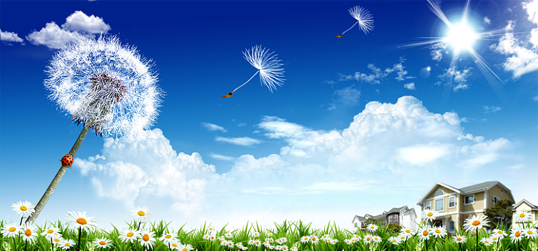 家园蓝天psdjpg蓝色卡通背景psdjpg蒲公英背景jpg草地上的蒲公英背景