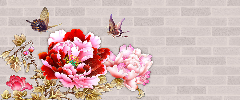 富贵花蝴蝶墙壁背景
