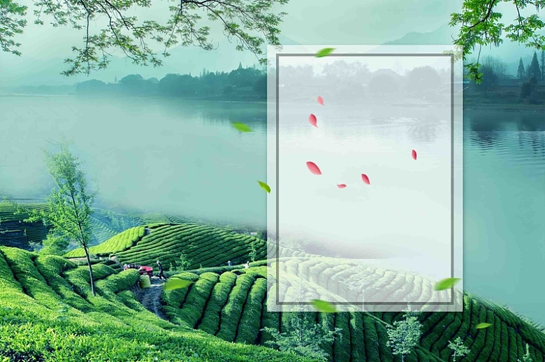小清新茶文化海报背景模板