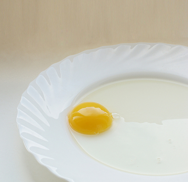 蛋清蛋黄背景素材