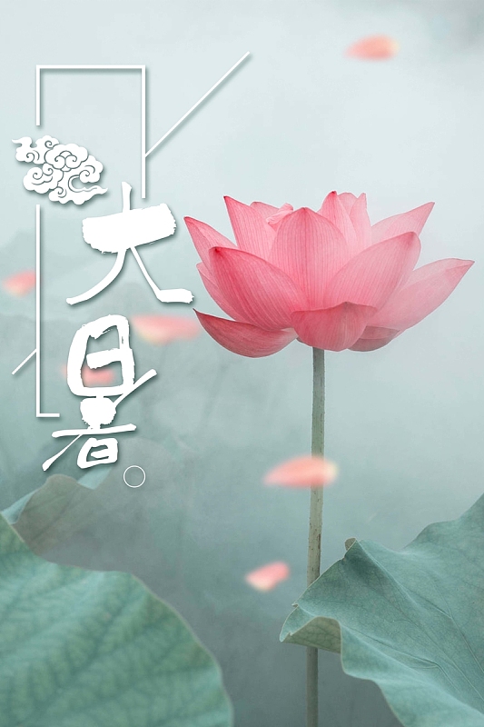 清爽唯美荷花大暑背景素材