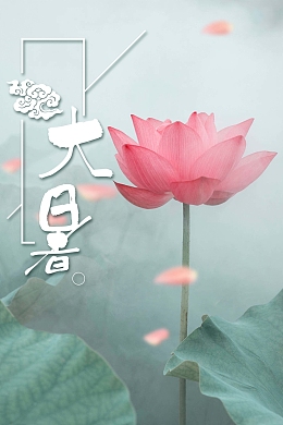 清爽唯美荷花大暑背景素材