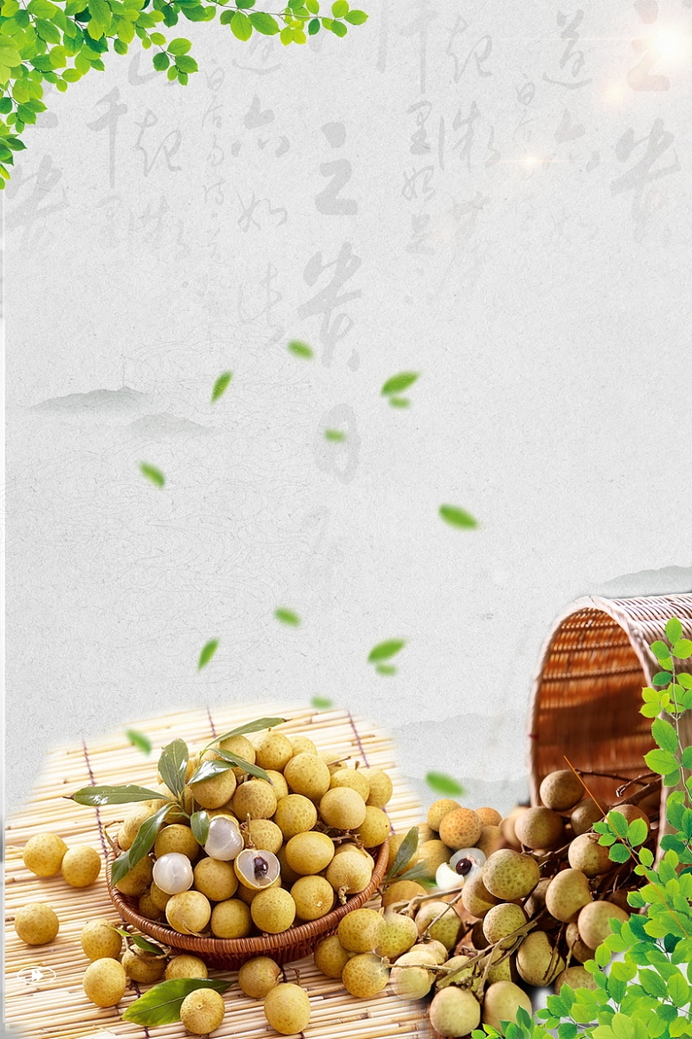 中国风水果美味桂圆