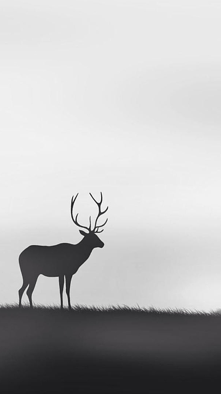 灰色背景上的麋鹿h5素材背景