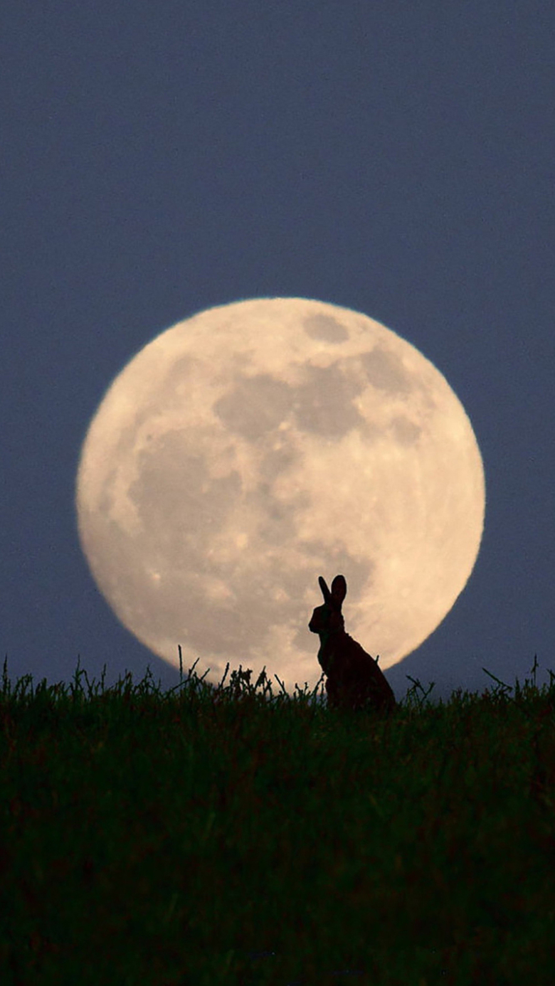 蓝色夜景月光手机端h5背景