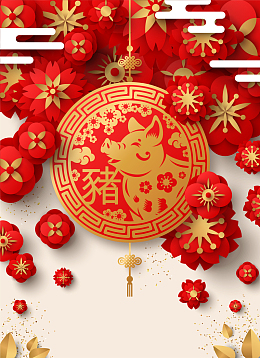 2019猪年喜庆过大年平面素材