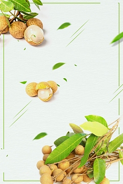 简约水果美味桂圆
