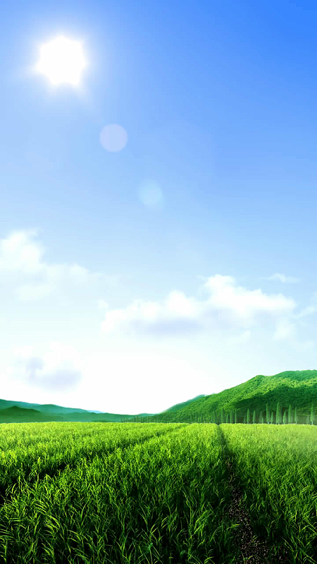 晴空万里