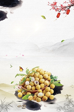 简约水果美味桂圆