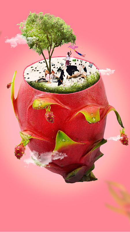 创意的火龙果素材背景