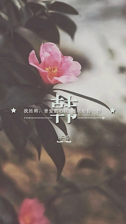 文艺花卉H5背景