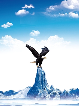 雄鹰展翅商业海报背景