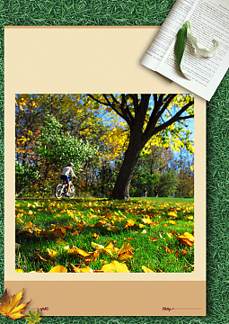 商业清新树叶书页相框草坪背景