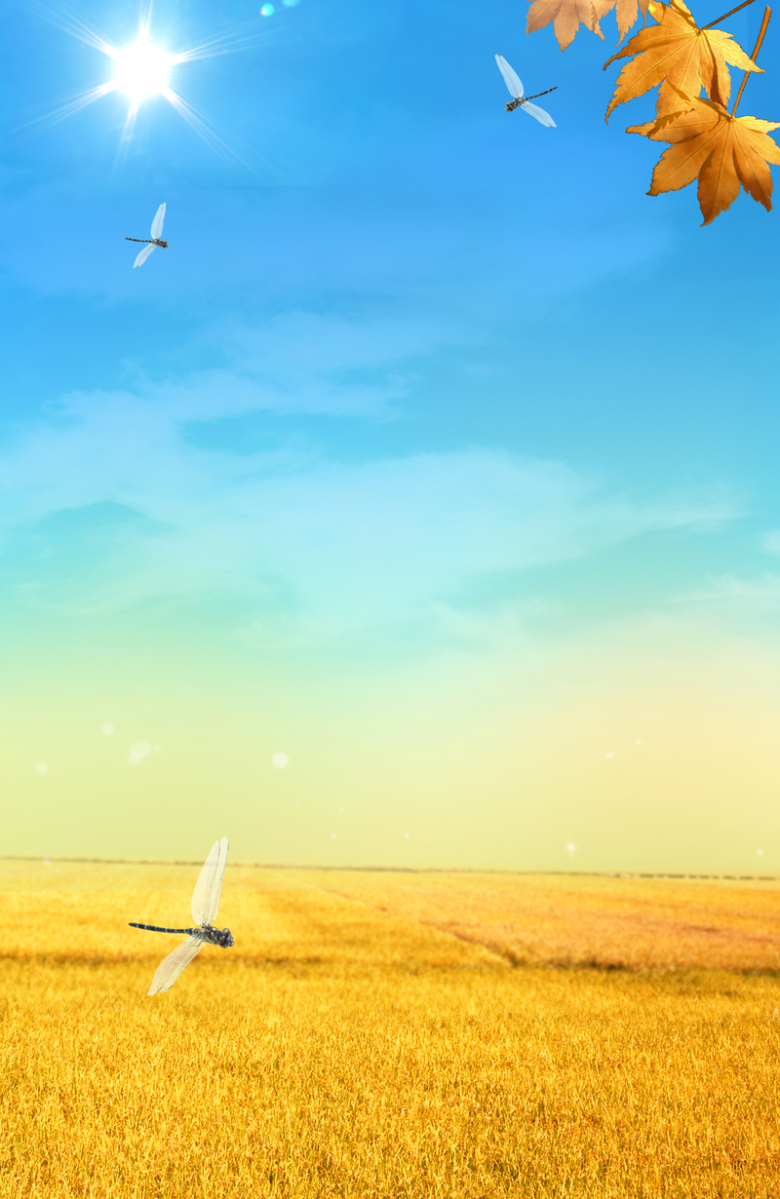 秋季海报背景素材