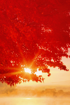 金秋换房季海报背景素材