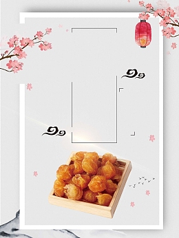 中华中式美食桂圆