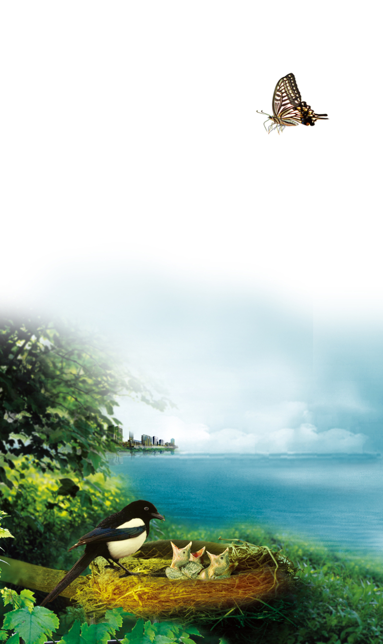 大气简约海边的美丽风景房地产背景素材