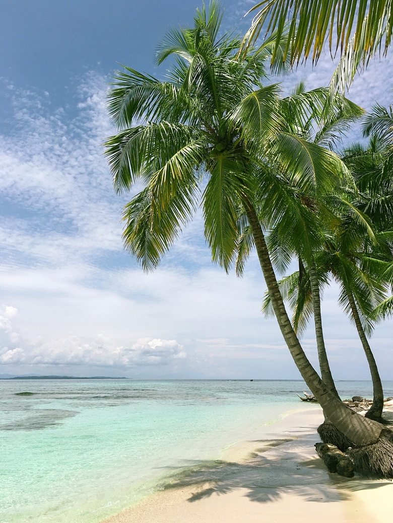 蓝天 白云 椰子树 沙滩 海水