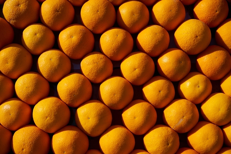 橙子 橙色 背景 水果