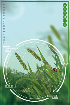 雨天春季小麦