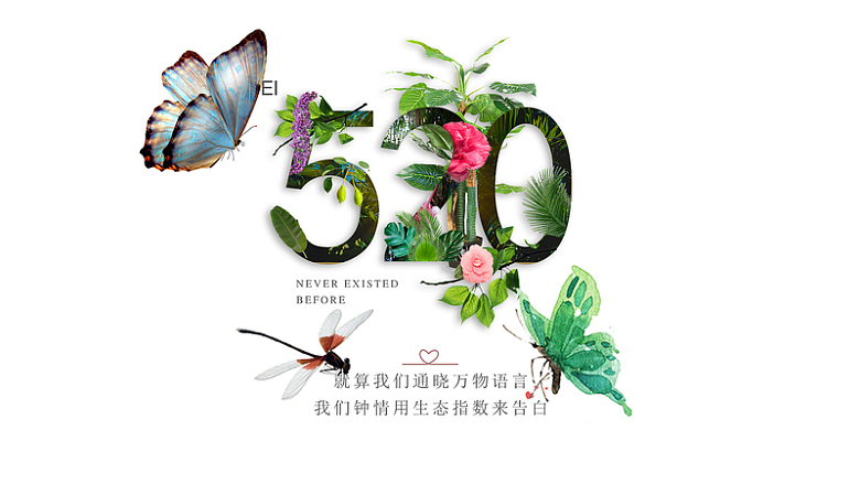 520蜻蜓蝴蝶