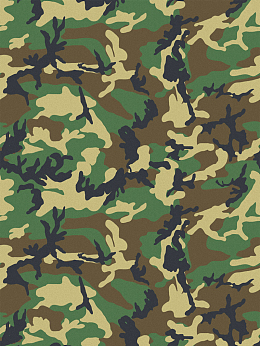 迷彩 军训 军训迷彩 迷彩背景