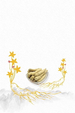 简洁中国风中药人参