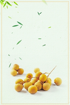 简约水果美味桂圆
