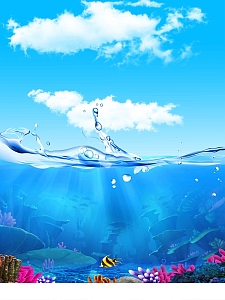 卡通海豚海洋世界