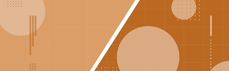 圆点线条褐色banner