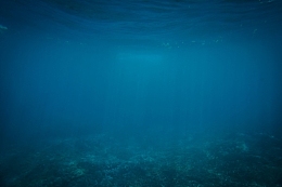 水  海 深海 海底