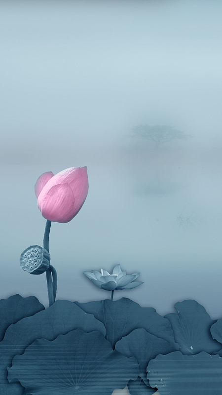 蓝色荷叶上的荷花h5素材背景