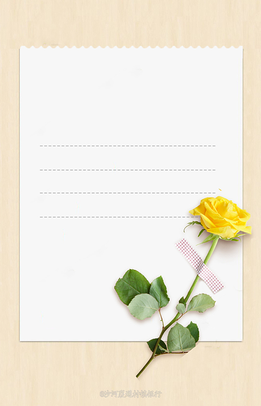 信纸黄色玫瑰