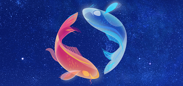 文艺简约清新锦鲤大王banner