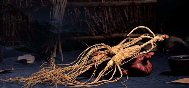 人参滋补简约黑色背景