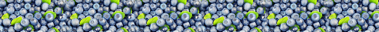 拼接的蓝莓（5918×504）