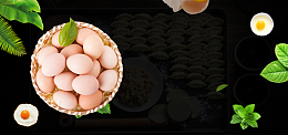 新鲜鸡蛋黑色简约banner