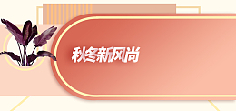 新风尚橘色金边女装温馨促销海报