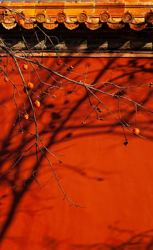 故宫，建筑，拍摄